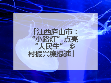 江西庐山市：“小路灯”点亮“大民生” 乡村振兴稳提速