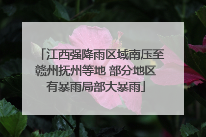 江西强降雨区域南压至赣州抚州等地 部分地区有暴雨局部大暴雨