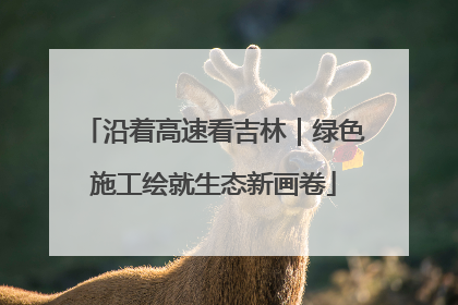 沿着高速看吉林｜绿色施工绘就生态新画卷