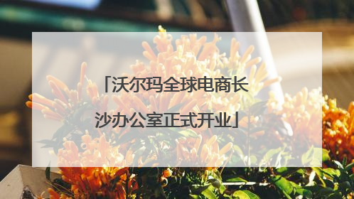 沃尔玛全球电商长沙办公室正式开业