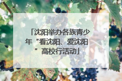 沈阳举办各族青少年“看沈阳、爱沈阳”高校行活动