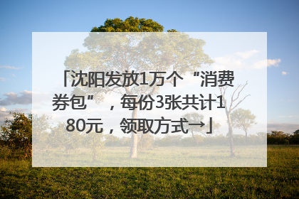 沈阳发放1万个“消费券包”，每份3张共计180元，领取方式→