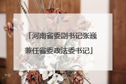 河南省委副书记张巍兼任省委政法委书记