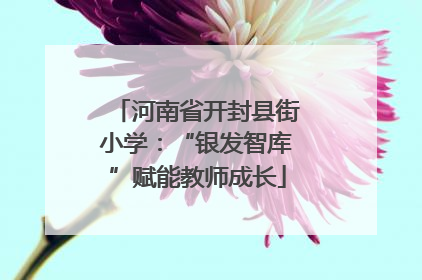 河南省开封县街小学：“银发智库”赋能教师成长