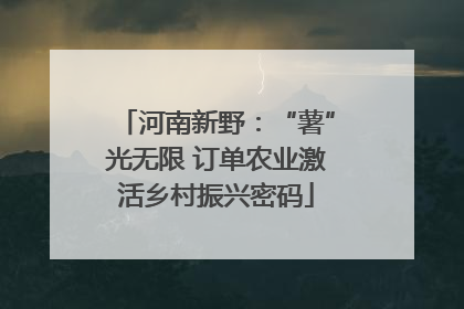 河南新野：“薯”光无限 订单农业激活乡村振兴密码