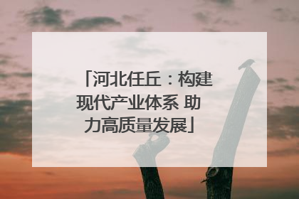 河北任丘：构建现代产业体系 助力高质量发展
