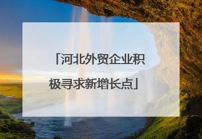 河北外贸企业积极寻求新增长点
