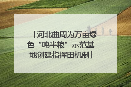 河北曲周为万亩绿色“吨半粮”示范基地创建指挥田机制