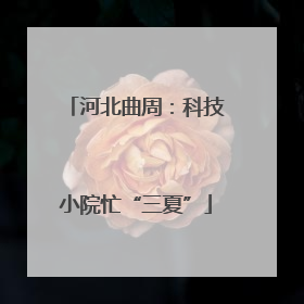 河北曲周：科技小院忙“三夏”