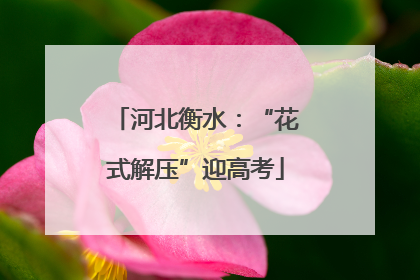 河北衡水：“花式解压”迎高考