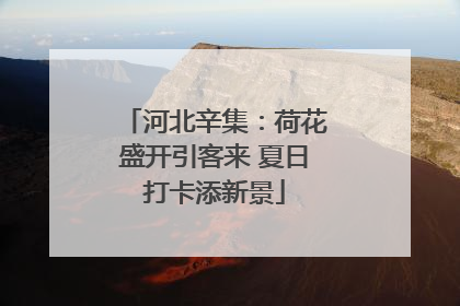 河北辛集：荷花盛开引客来 夏日打卡添新景