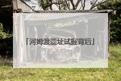 河姆渡遗址试掘背后