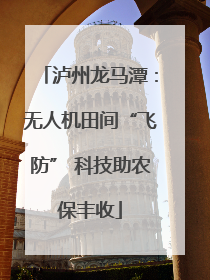 泸州龙马潭：无人机田间“飞防” 科技助农保丰收