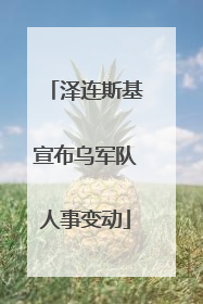 泽连斯基宣布乌军队人事变动