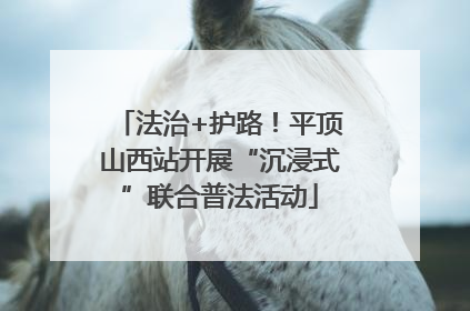 法治+护路！平顶山西站开展“沉浸式”联合普法活动