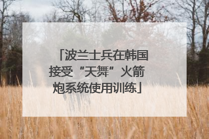 波兰士兵在韩国接受“天舞”火箭炮系统使用训练