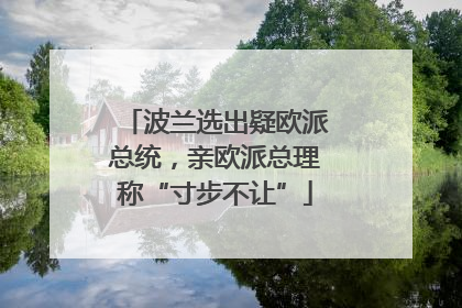 波兰选出疑欧派总统，亲欧派总理称“寸步不让”