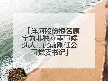 洋河股份提名顾宇为非独立董事候选人，此前刚任公司党委书记