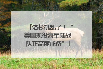 洛杉矶乱了！“美国现役海军陆战队正高度戒备”