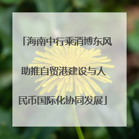 海南中行乘消博东风 助推自贸港建设与人民币国际化协同发展