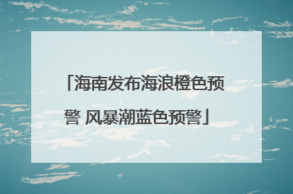 海南发布海浪橙色预警 风暴潮蓝色预警