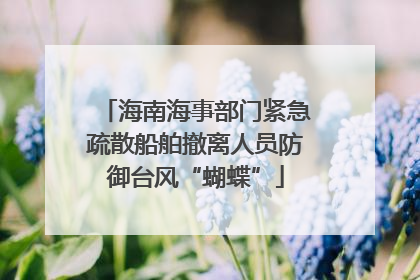 海南海事部门紧急疏散船舶撤离人员防御台风“蝴蝶”