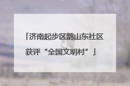 济南起步区鹊山东社区获评“全国文明村”