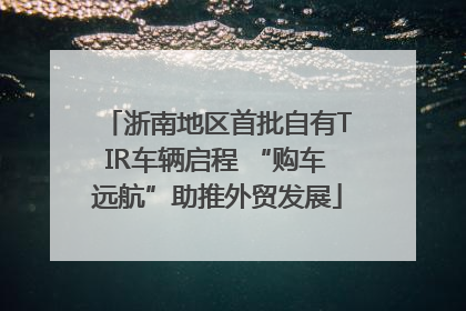 浙南地区首批自有TIR车辆启程 “购车远航”助推外贸发展