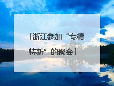 浙江参加“专精特新”的聚会