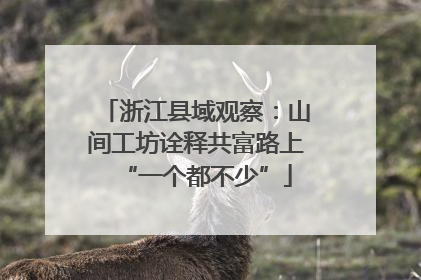 浙江县域观察：山间工坊诠释共富路上“一个都不少”