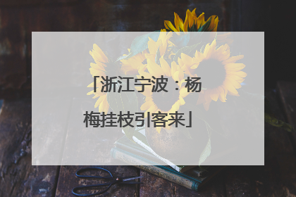浙江宁波：杨梅挂枝引客来