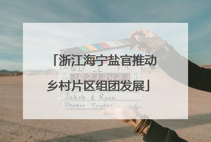 浙江海宁盐官推动乡村片区组团发展