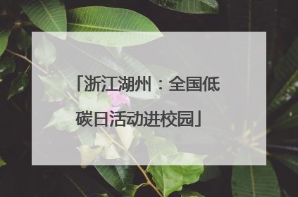 浙江湖州：全国低碳日活动进校园