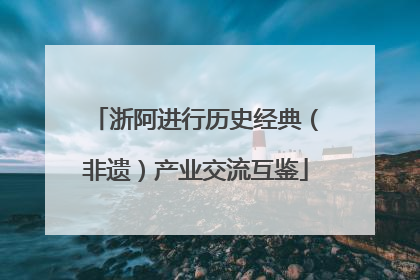 浙阿进行历史经典（非遗）产业交流互鉴