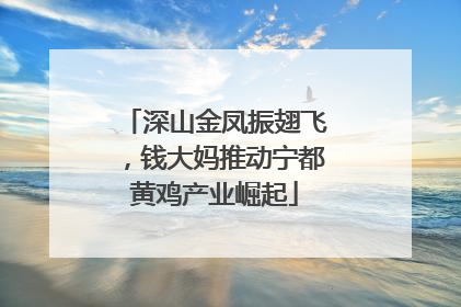 深山金凤振翅飞，钱大妈推动宁都黄鸡产业崛起
