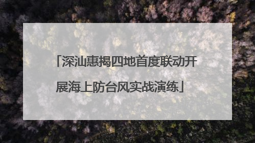 深汕惠揭四地首度联动开展海上防台风实战演练