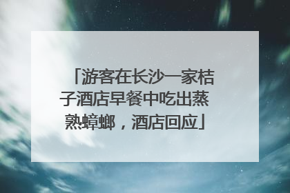游客在长沙一家桔子酒店早餐中吃出蒸熟蟑螂，酒店回应