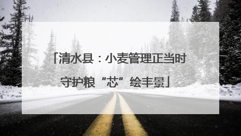清水县：小麦管理正当时 守护粮“芯”绘丰景
