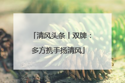 清风头条丨双牌：多方携手扬清风