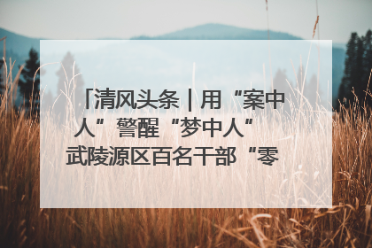 清风头条｜用“案中人”警醒“梦中人” 武陵源区百名干部“零距离”接受警示教育