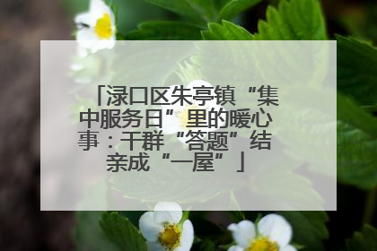 渌口区朱亭镇“集中服务日”里的暖心事：干群“答题”结亲成“一屋”