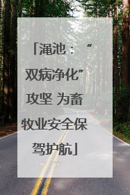 渑池：“双病净化”攻坚 为畜牧业安全保驾护航