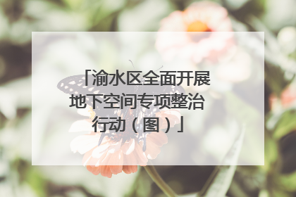 渝水区全面开展地下空间专项整治行动（图）