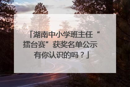 湖南中小学班主任“擂台赛”获奖名单公示 有你认识的吗？