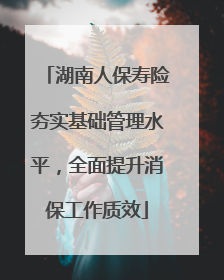 湖南人保寿险夯实基础管理水平，全面提升消保工作质效