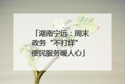 湖南宁远：周末政务“不打烊” 便民服务暖人心
