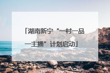 湖南新宁“一村一品一主播”计划启动