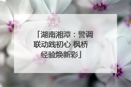 湖南湘潭：警调联动践初心 枫桥经验焕新彩