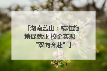 湖南蓝山：精准施策促就业 校企实现“双向奔赴”