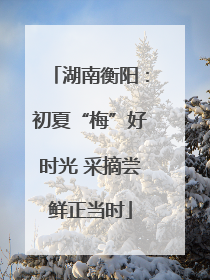 湖南衡阳：初夏“梅”好时光 采摘尝鲜正当时